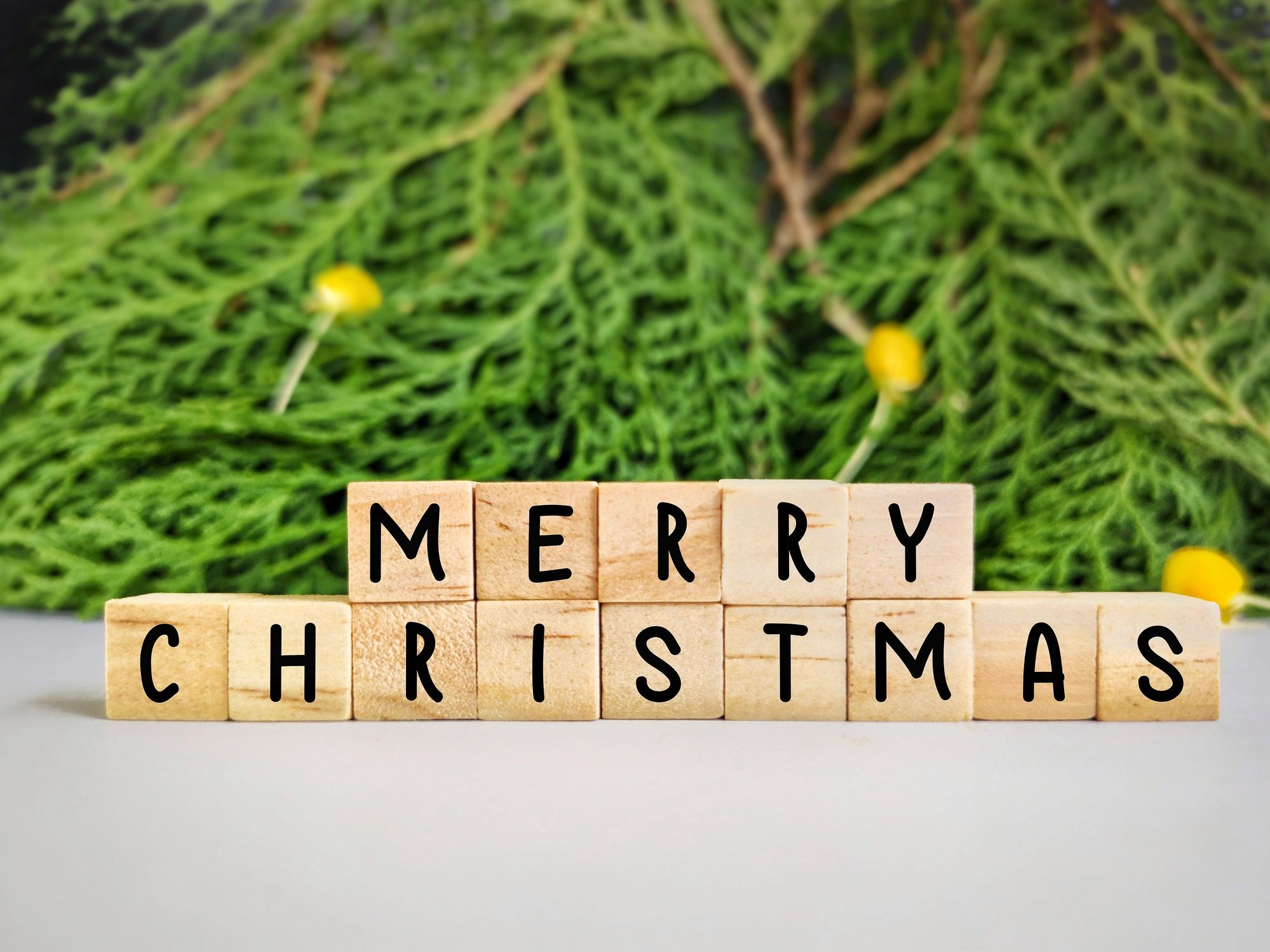 Merry Christmas festive background with celebratory holiday styling